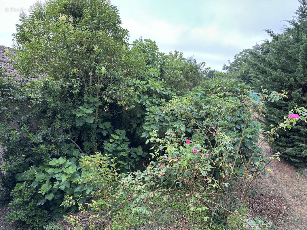 Maison à L&#039;ISLE-EN-DODON