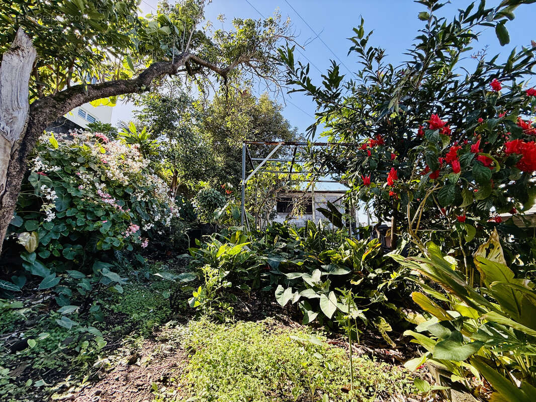 Maison à SAINT-JOSEPH