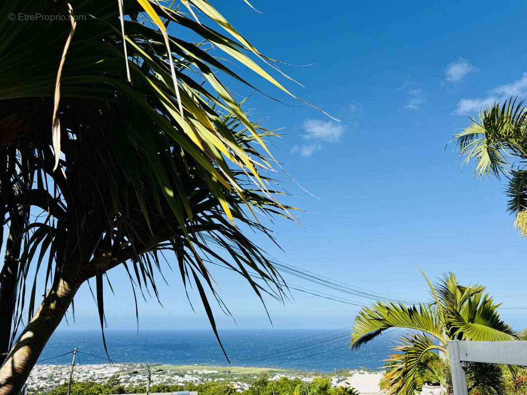 Maison à SAINT-JOSEPH