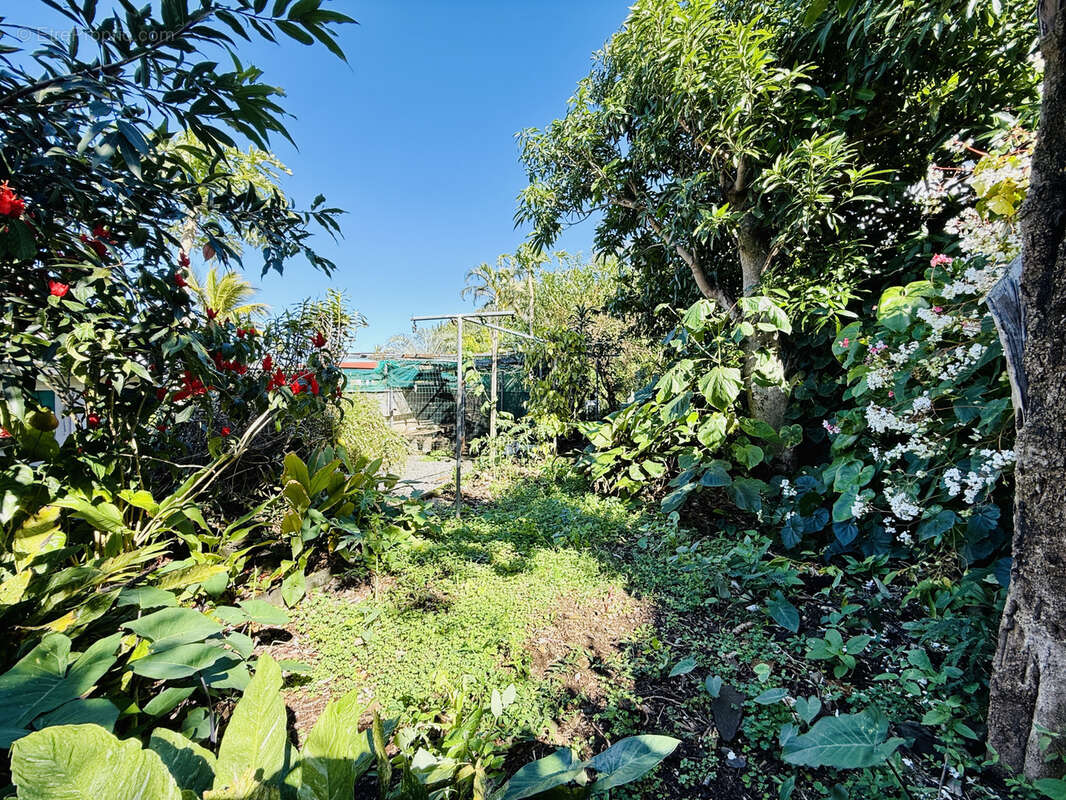 Maison à SAINT-JOSEPH