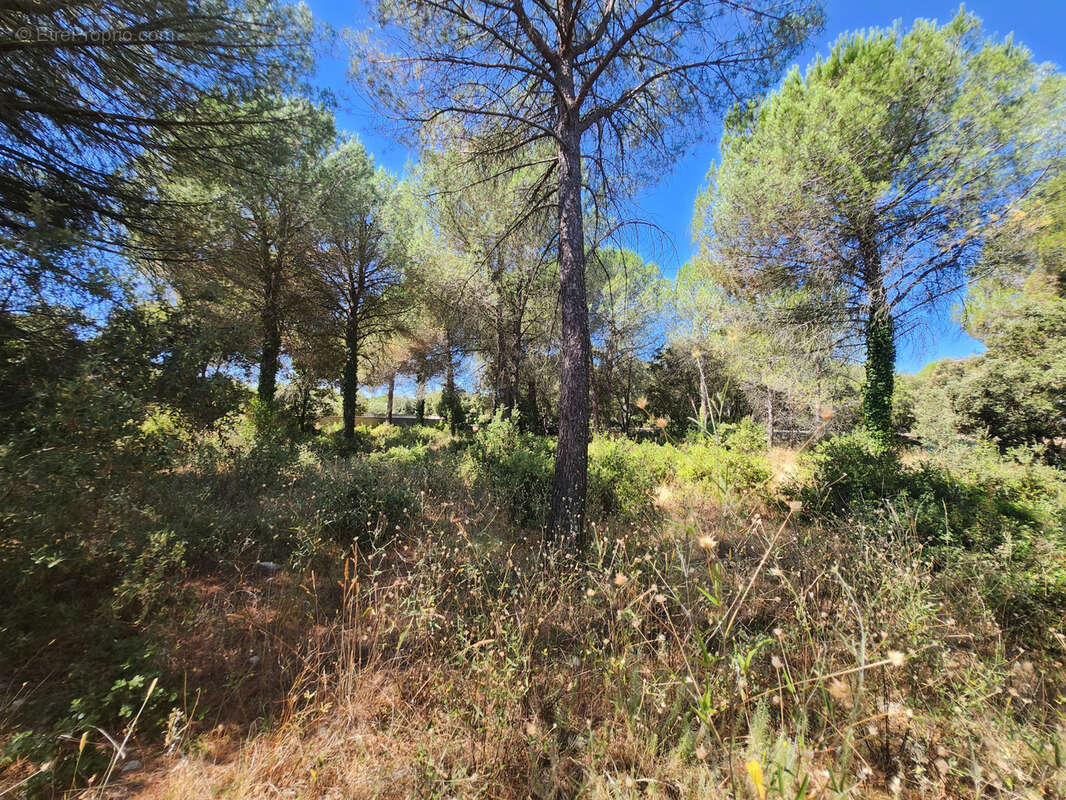 Terrain à UZES