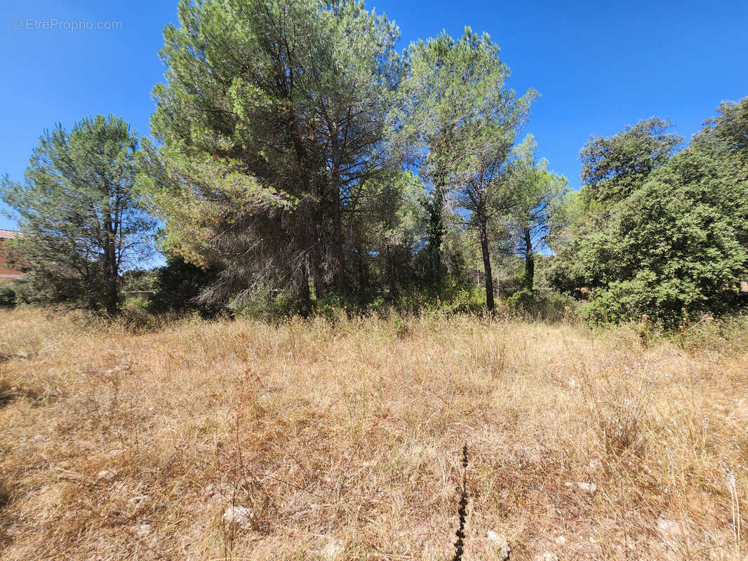 Terrain à UZES