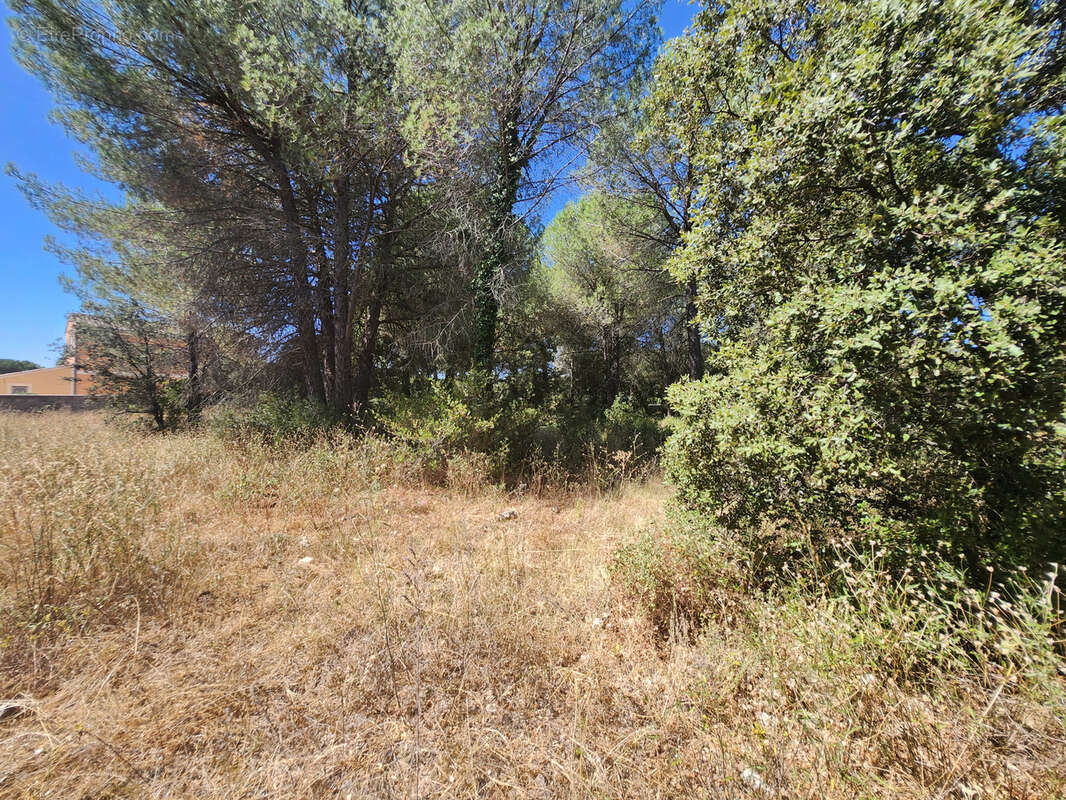 Terrain à UZES