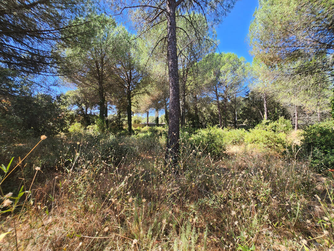 Terrain à UZES