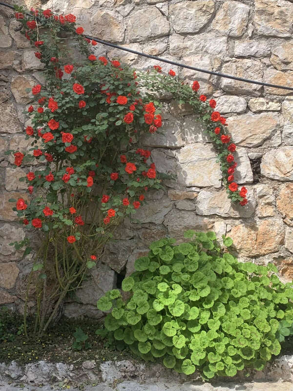 Maison à LA TRINITE