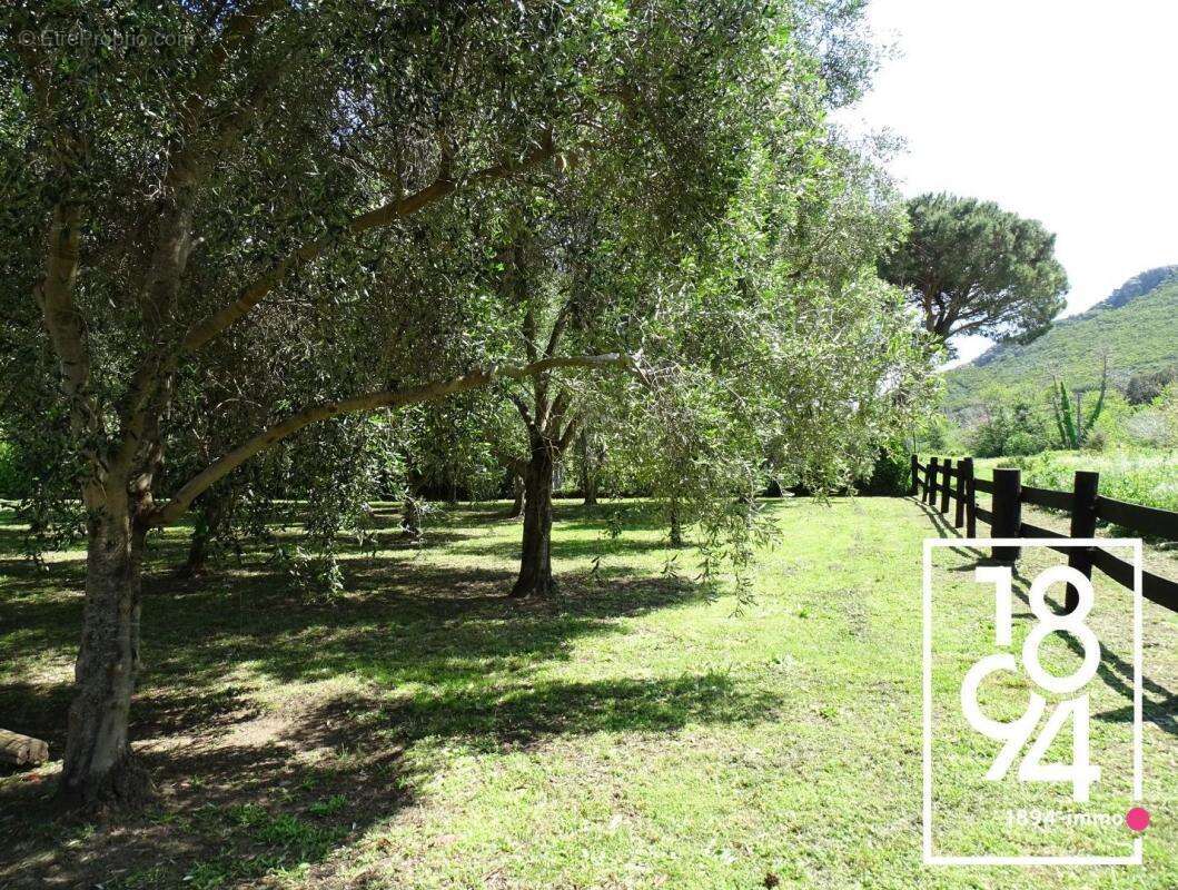 Maison à PIETRACORBARA