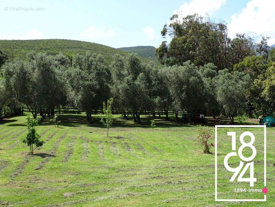 Maison à PIETRACORBARA