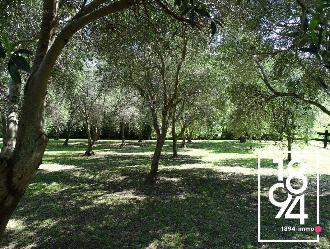 Maison à PIETRACORBARA