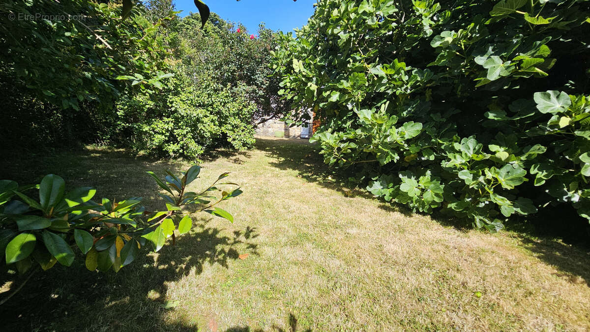 Maison à CAMARET-SUR-MER