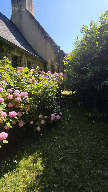 Maison à CAMARET-SUR-MER