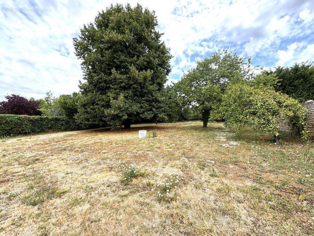 Maison à SALLES-DE-VILLEFAGNAN