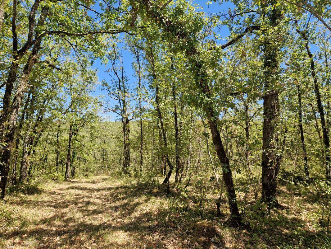 Terrain à CHASTEAUX