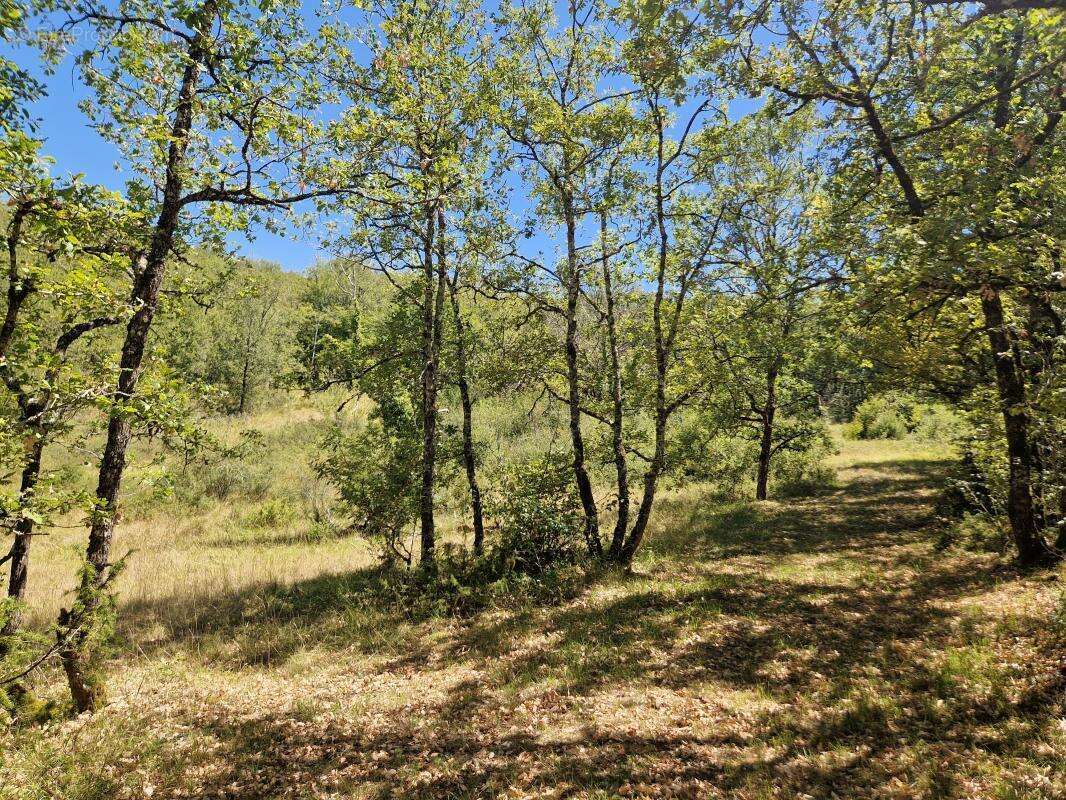 Terrain à CHASTEAUX