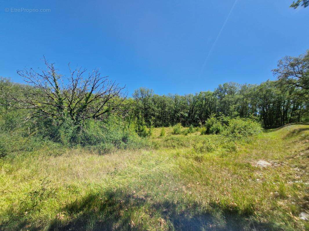 Terrain à CHASTEAUX