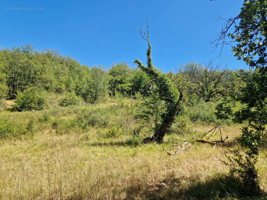 Terrain à CHASTEAUX