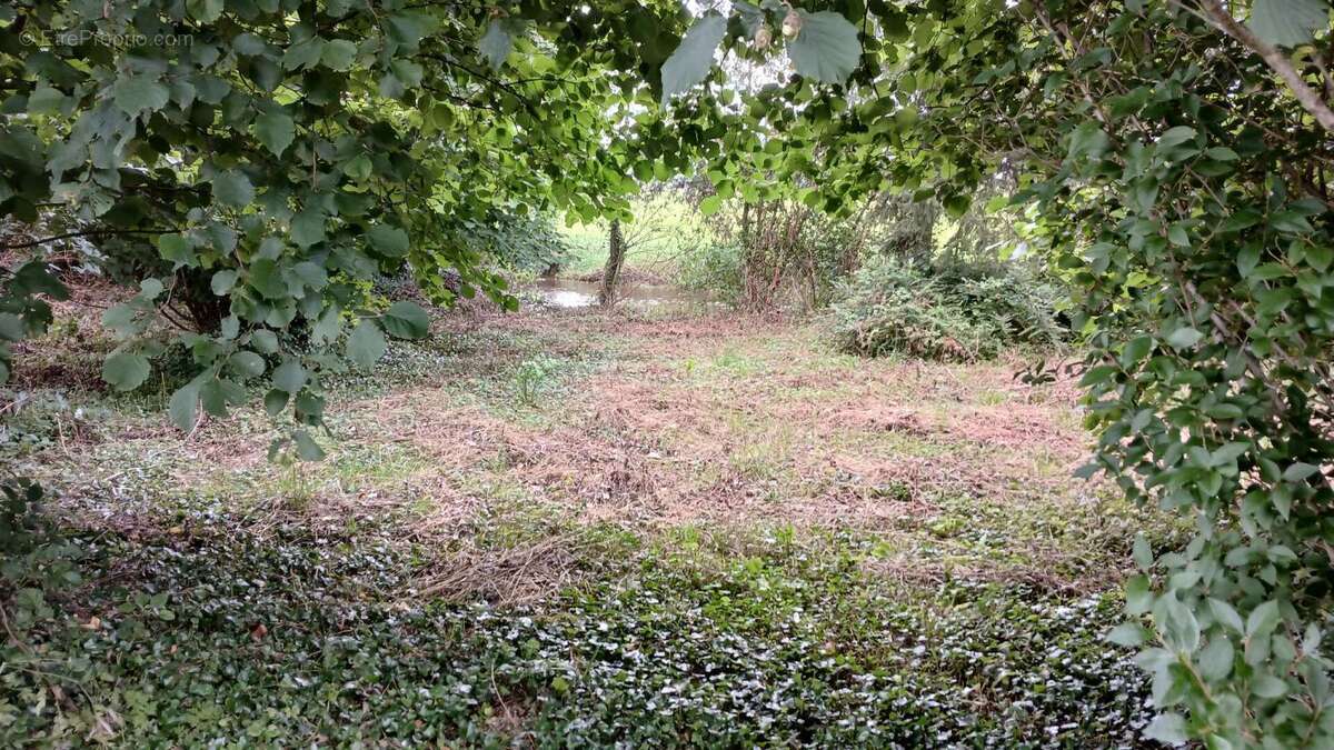 Maison à BAUDONCOURT