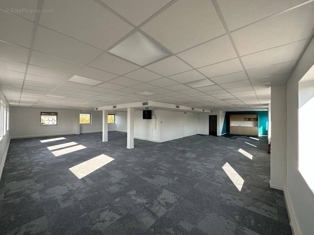 Commerce à TOULOUSE