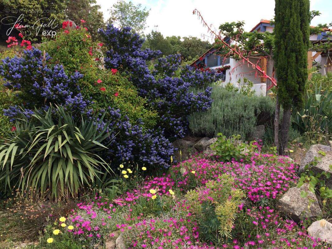 Maison à ARBOUSSOLS