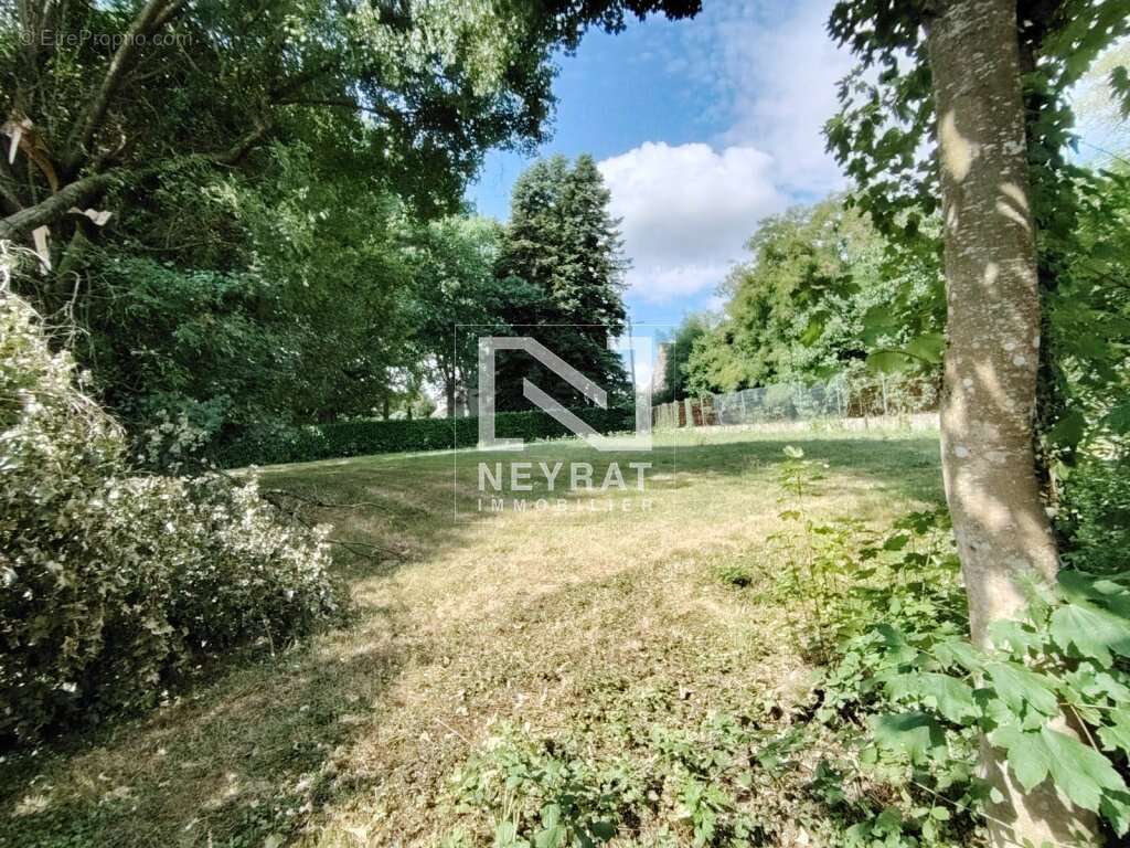 Terrain à CHATENOY-LE-ROYAL