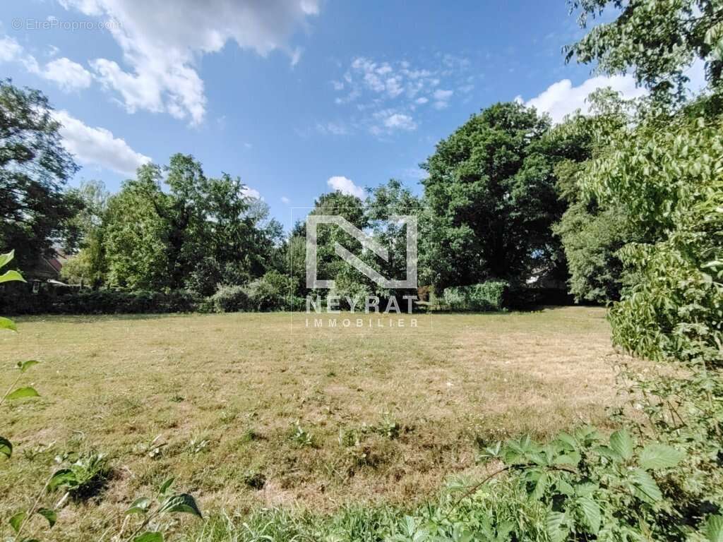 Terrain à CHATENOY-LE-ROYAL