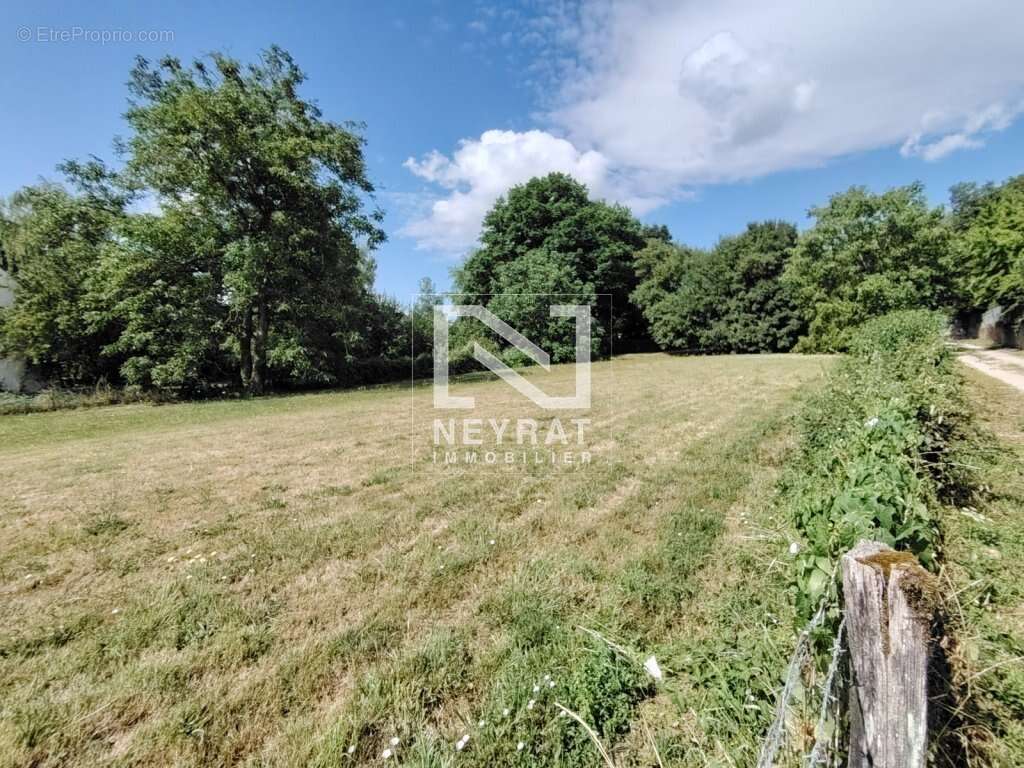 Terrain à CHATENOY-LE-ROYAL
