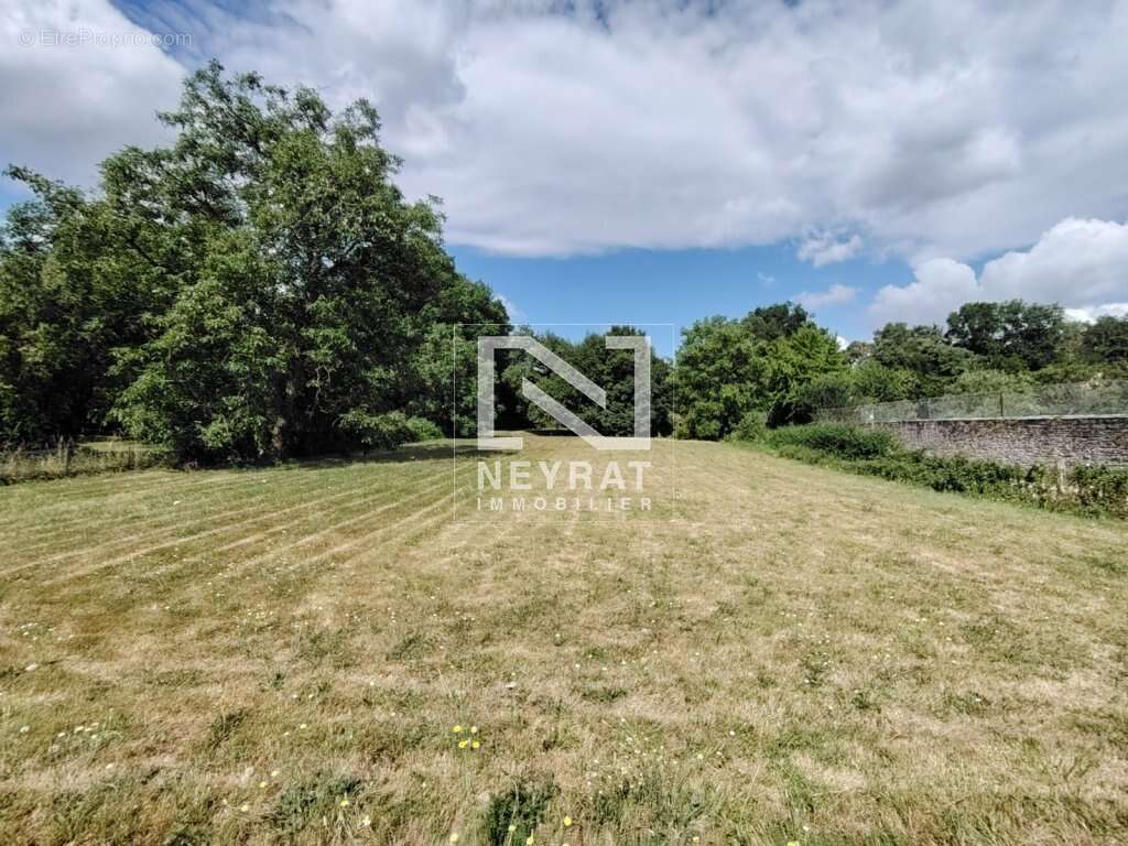 Terrain à CHATENOY-LE-ROYAL