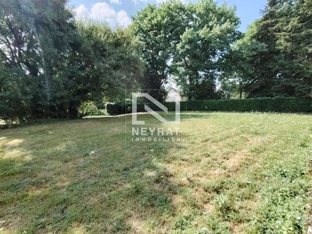 Terrain à CHATENOY-LE-ROYAL