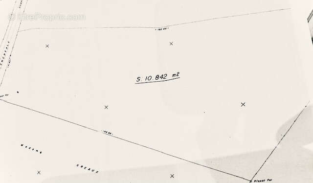 Terrain à CAPESTERRE-BELLE-EAU