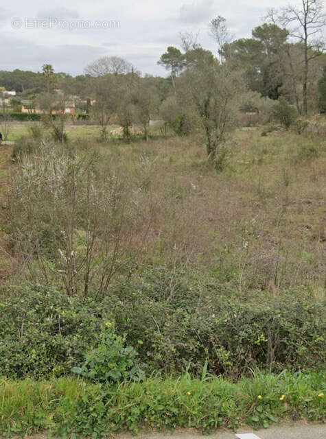 Terrain à MOUGINS