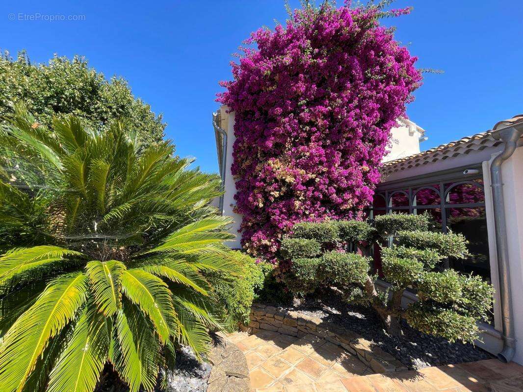 Maison à SIX-FOURS-LES-PLAGES