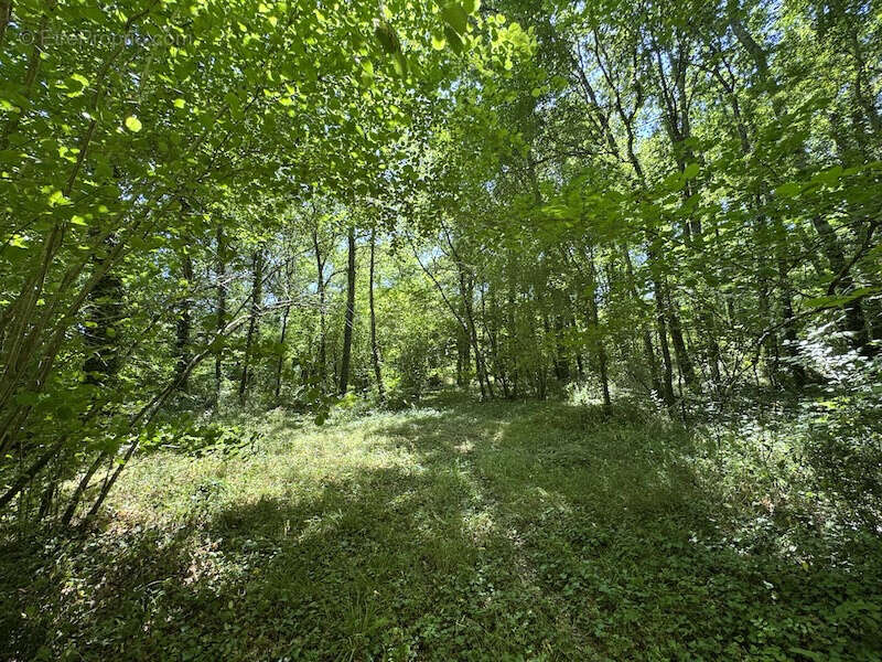 Maison à ORIGNOLLES