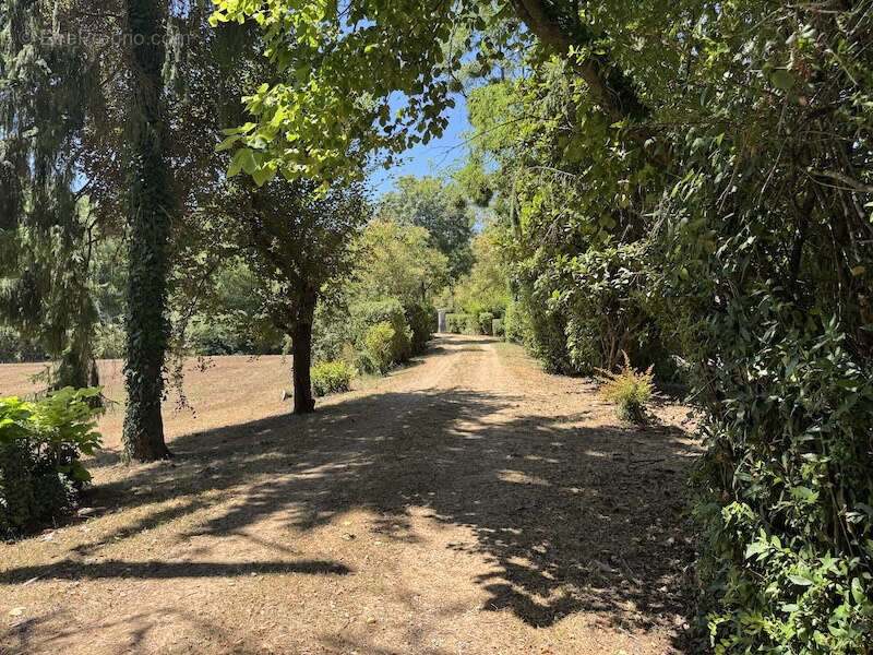 Maison à ORIGNOLLES