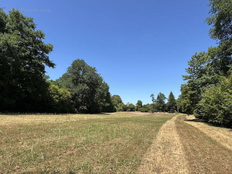 Maison à ORIGNOLLES