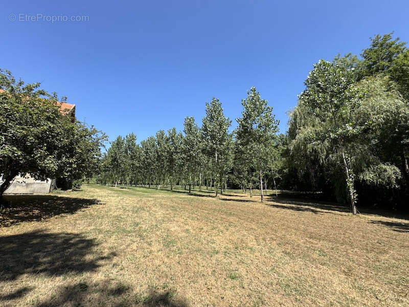 Maison à ORIGNOLLES