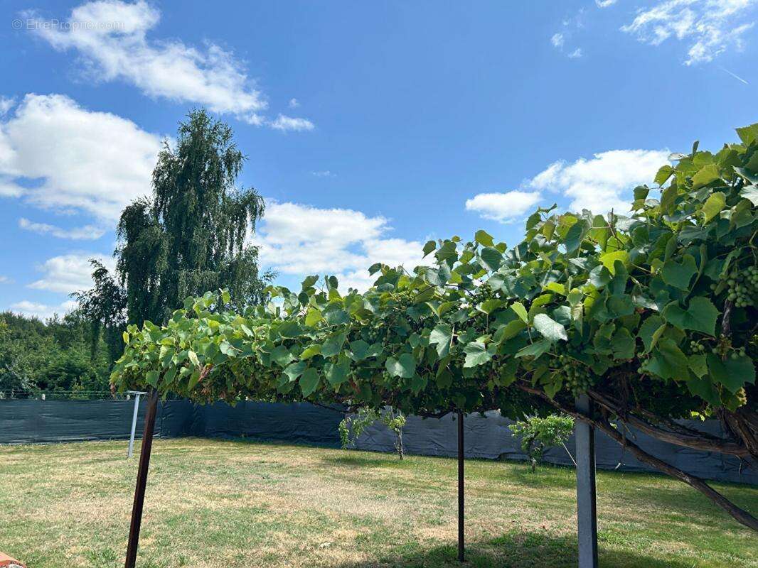 Maison à SAINT-GENES-DE-FRONSAC