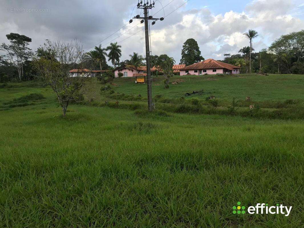 Appartement à MONTSINERY-TONNEGRANDE