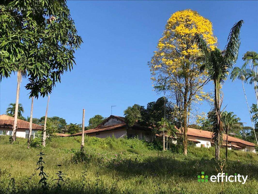 Appartement à MONTSINERY-TONNEGRANDE