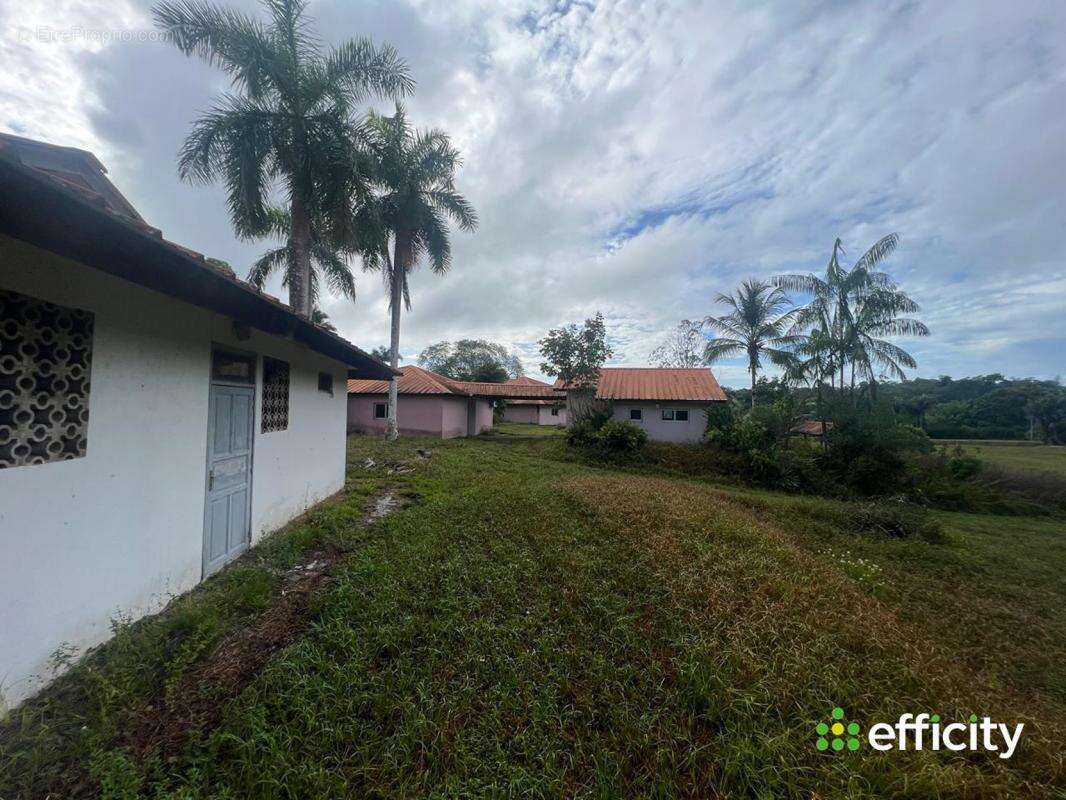 Appartement à MONTSINERY-TONNEGRANDE