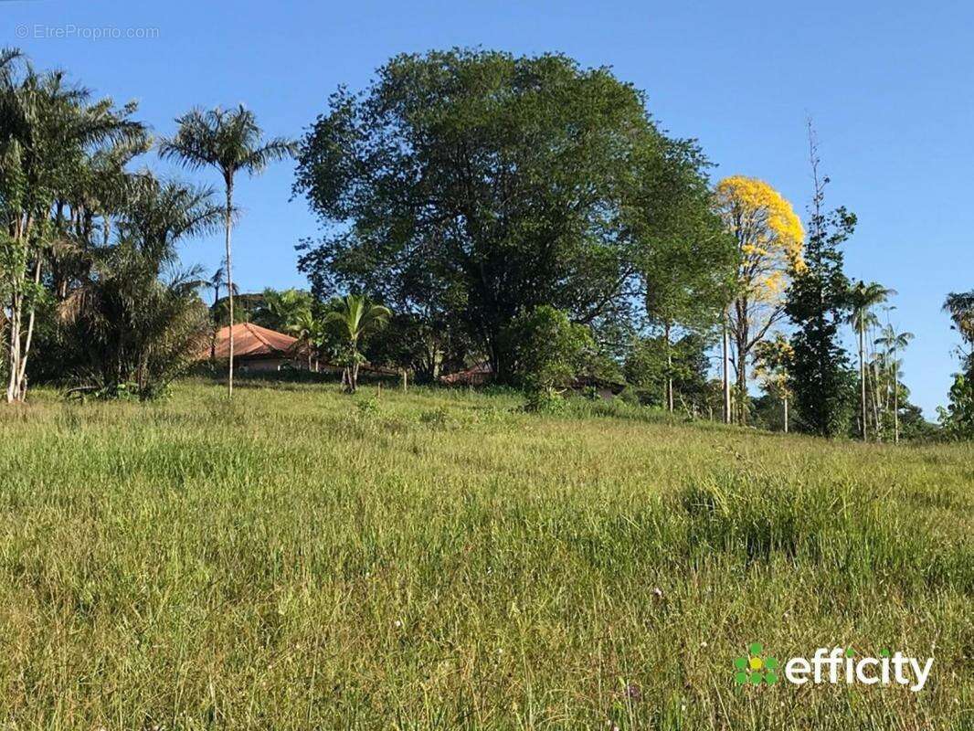 Appartement à MONTSINERY-TONNEGRANDE