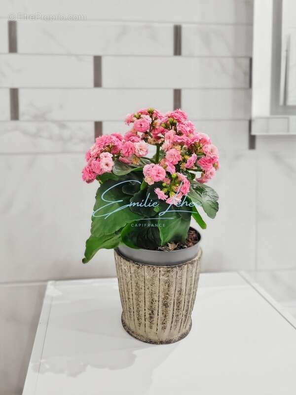 Appartement à NEVEZ