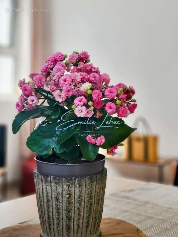 Appartement à NEVEZ