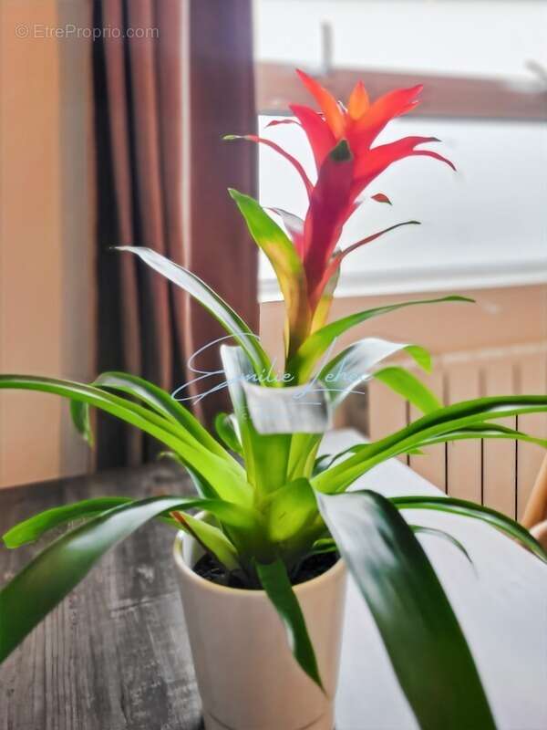 Appartement à NEVEZ