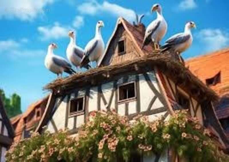 Commerce à STRASBOURG