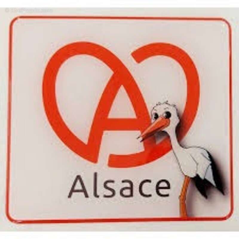 Commerce à STRASBOURG