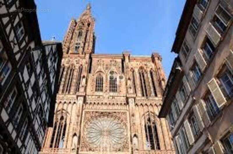 Commerce à STRASBOURG