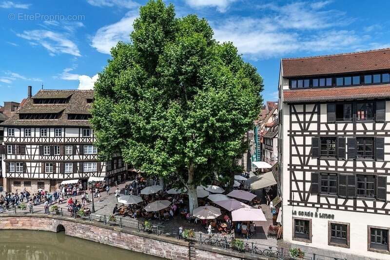 Commerce à STRASBOURG