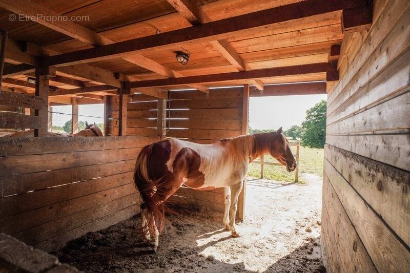 Maison à CHATILLON-SUR-CHALARONNE