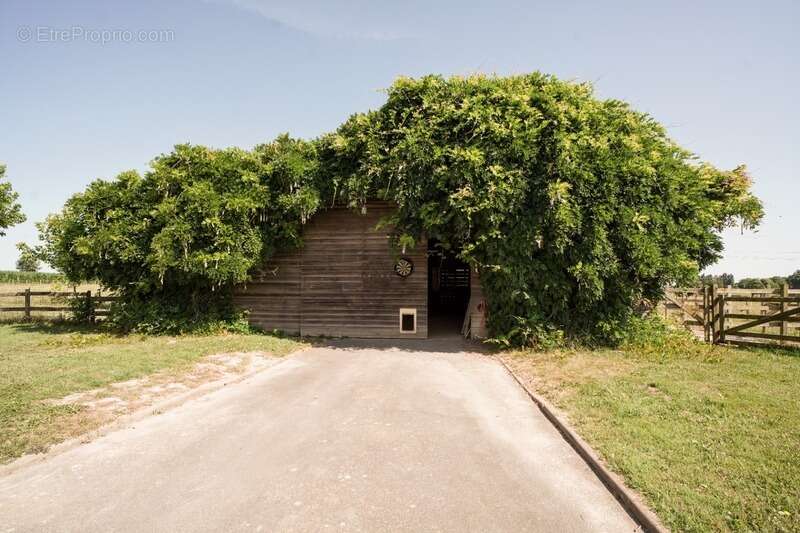 Maison à CHATILLON-SUR-CHALARONNE