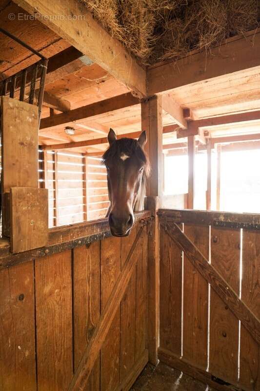 Maison à CHATILLON-SUR-CHALARONNE