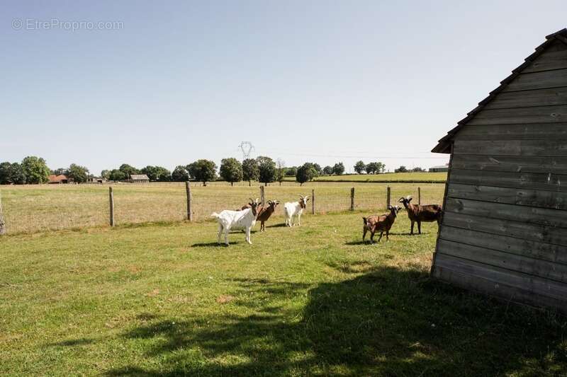 Maison à CHATILLON-SUR-CHALARONNE
